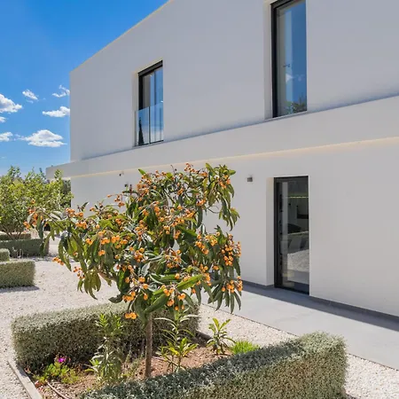 Costablancadreams Strelitzia In Javea Villa *